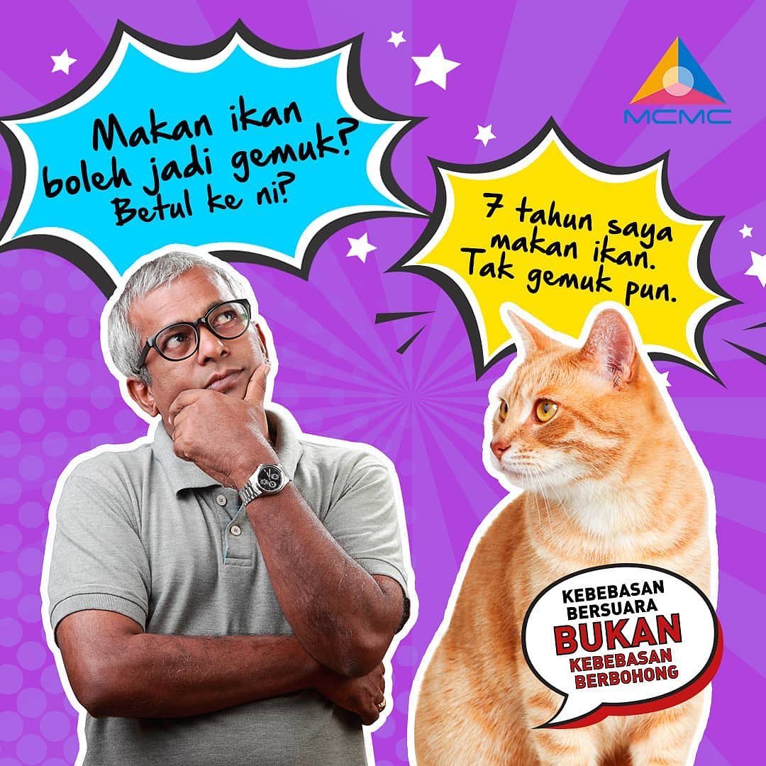 kucing